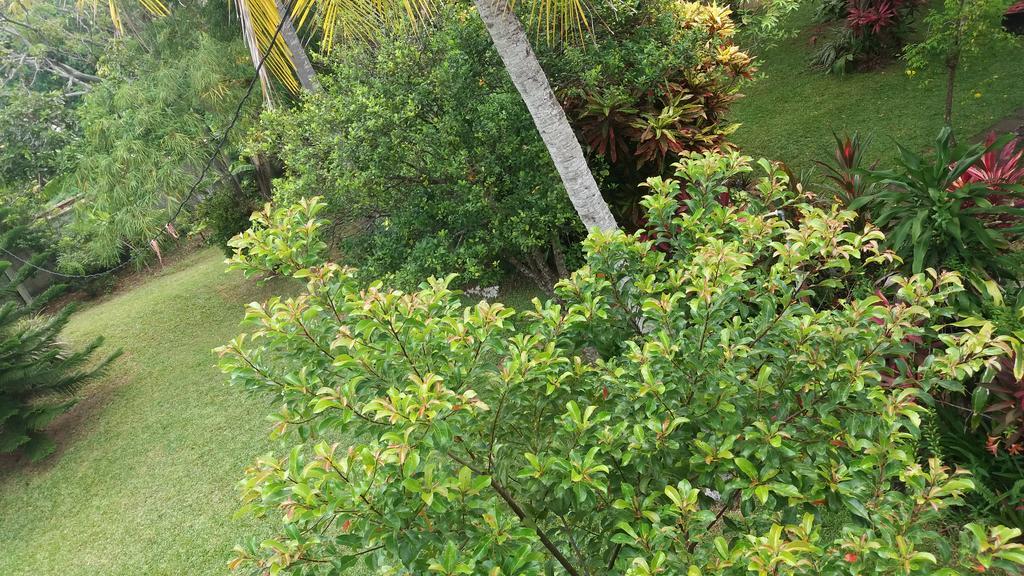 4 Seasons Guesthouse Hikkaduwa Exterior foto